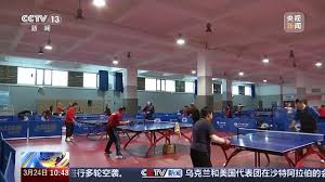2026世界杯官方登录 怎么样才能让小孩子上乒乓球台